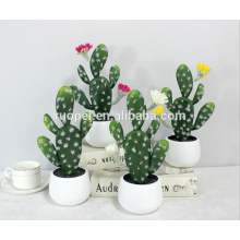 mini-plantas suculentas / minicactos bonsai decorativos para casa